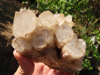 Natural Cascading White Phantom Smokey Quartz Clusters  x 3 From Luena, Congo - Toprock Gemstones and Minerals 