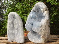 Polished Blue Celestite Standing Free Forms  x 2 From Sakoany, Madagascar - Toprock Gemstones and Minerals 