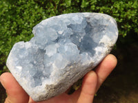 Polished Blue Celestite Standing Free Forms  x 2 From Sakoany, Madagascar - Toprock Gemstones and Minerals 