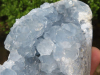 Polished Blue Celestite Standing Free Forms  x 2 From Sakoany, Madagascar - Toprock Gemstones and Minerals 