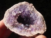 Natural Amethyst & Crystal Centred Geodes  x 12 From Zululand, South Africa - TopRock