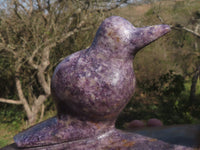 Polished Pair Of Purple Lepidolite Bird Book End Carvings  x 2 From Zimbabwe - TopRock