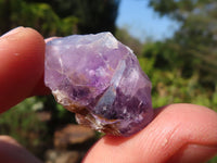 Natural Small Mixed Spirit Quartz Crystals  x 138 From Boekenhouthoek, South Africa - Toprock Gemstones and Minerals 