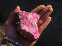 Natural Pink Salrose Cobaltion Dolomite Specimens  x 5 From Kakanda, Congo