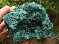 Natural Chatoyant Silky Malachite Specimens  x 3 From Kasompe, Congo - Toprock Gemstones and Minerals 