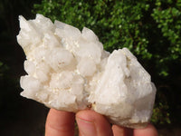 Natural Highly Selected "Cathedral Peak" Quartz Crystals  x 14 From Madagascar - Toprock Gemstones and Minerals 