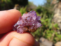 Natural Small Mixed Spirit Quartz Crystals  x 138 From Boekenhouthoek, South Africa - Toprock Gemstones and Minerals 