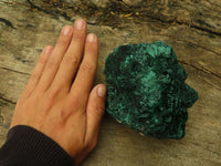 Natural Chatoyant Silky Malachite Specimens  x 3 From Kasompe, Congo - Toprock Gemstones and Minerals 