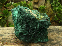 Natural Chatoyant Silky Malachite Specimens  x 3 From Kasompe, Congo - Toprock Gemstones and Minerals 