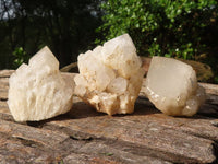 Natural Highly Selected "Cathedral Peak" Quartz Crystals  x 14 From Madagascar - Toprock Gemstones and Minerals 