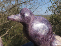 Polished Pair Of Purple Lepidolite Bird Book End Carvings  x 2 From Zimbabwe - TopRock