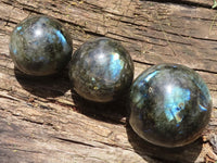 Polished Flashy Labradorite Spheres  x 3 From Tulear, Madagascar - TopRock