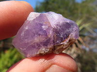 Natural Small Mixed Spirit Quartz Crystals  x 138 From Boekenhouthoek, South Africa - Toprock Gemstones and Minerals 