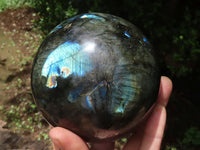 Polished Flashy Labradorite Spheres  x 3 From Tulear, Madagascar - TopRock