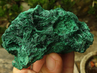 Natural Chatoyant Silky Malachite Specimens  x 3 From Kasompe, Congo - Toprock Gemstones and Minerals 