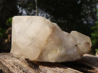 Natural Highly Selected "Cathedral Peak" Quartz Crystals  x 14 From Madagascar - Toprock Gemstones and Minerals 