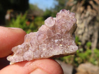 Natural Small Mixed Spirit Quartz Crystals  x 138 From Boekenhouthoek, South Africa - Toprock Gemstones and Minerals 