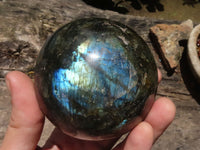 Polished Flashy Labradorite Spheres  x 3 From Tulear, Madagascar - TopRock