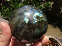 Polished Flashy Labradorite Spheres  x 3 From Tulear, Madagascar - TopRock