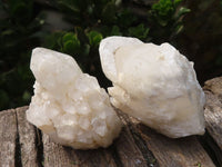 Natural Highly Selected "Cathedral Peak" Quartz Crystals  x 14 From Madagascar - Toprock Gemstones and Minerals 