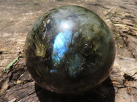 Polished Flashy Labradorite Spheres  x 3 From Tulear, Madagascar - TopRock