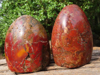 Polished Red Jasper Standing Free Forms  x 2 From Madagascar - Toprock Gemstones and Minerals 