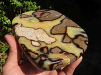 Polished Septerye Free Form Slices   x 3 From Mahajanga, Madagascar - Toprock Gemstones and Minerals 