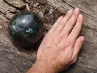 Polished Flashy Labradorite Spheres  x 3 From Tulear, Madagascar - TopRock