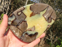 Polished Septerye Free Form Slices   x 3 From Mahajanga, Madagascar - Toprock Gemstones and Minerals 