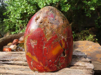 Polished Red Jasper Standing Free Forms  x 2 From Madagascar - Toprock Gemstones and Minerals 