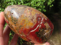 Polished Red Jasper Standing Free Forms  x 2 From Madagascar - Toprock Gemstones and Minerals 