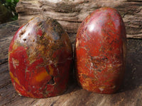 Polished Red Jasper Standing Free Forms  x 2 From Madagascar - Toprock Gemstones and Minerals 