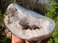 Polished Amethyst Agate Geodes x 6 From Madagascar