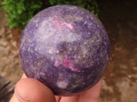 Polished Purple Lepidolite Spheres With Rubellite On Some  x 6 From Madagascar - Toprock Gemstones and Minerals 