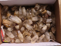 Natural Clear Smokey Quartz Crystals  x 4.9 Kg Lot  From Zimbabwe - Toprock Gemstones and Minerals 