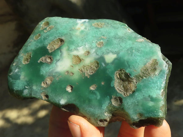 Polished One Side Polished Emerald Mtorolite Plates  x 6 From Zimbabwe