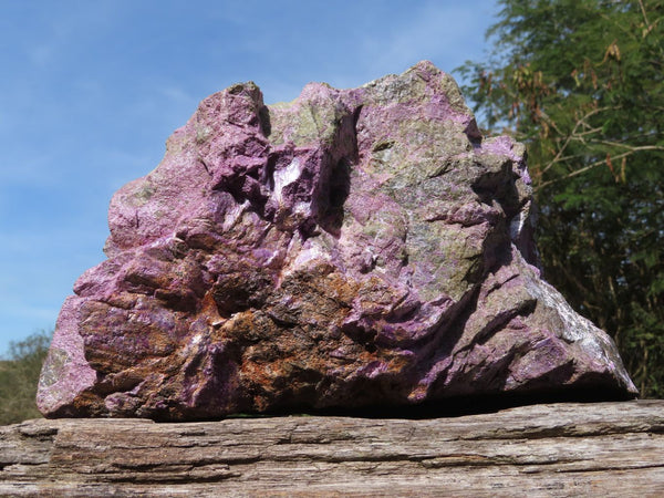 Natural Monster Sized Atlantisite ( Stichtite & Serpentine) Rough Display Piece x 1 From Southern Africa - TopRock