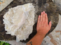 Natural Extra Large Quartz Cluster x 1 From Ambatfinhandra, Madagascar - TopRock