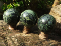 Polished Stromatolite / Kambamba Jasper Spheres  x 3 From Mahajanga, Madagascar - Toprock Gemstones and Minerals 