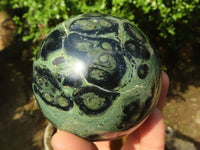 Polished Stromatolite / Kambamba Jasper Spheres  x 3 From Mahajanga, Madagascar - Toprock Gemstones and Minerals 