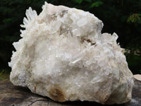 Natural Extra Large Quartz Cluster x 1 From Ambatfinhandra, Madagascar - TopRock