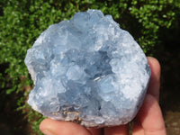 Natural Blue Celestite Crystal Specimens  x 3 From Sakoany, Madagascar - Toprock Gemstones and Minerals 