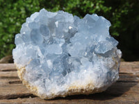 Natural Blue Celestite Crystal Specimens  x 3 From Sakoany, Madagascar - Toprock Gemstones and Minerals 