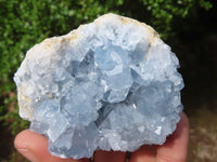 Natural Blue Celestite Crystal Specimens  x 3 From Sakoany, Madagascar - Toprock Gemstones and Minerals 