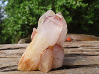 Natural Pineapple Candle Quartz Crystals  x 24 From Madagascar - Toprock Gemstones and Minerals 