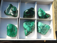 Polished Flower Banded Malachite Free Forms  x 6 From Congo - Toprock Gemstones and Minerals 