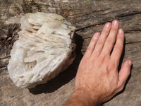 Natural Extra Large Bladed Barite Specimen x 1 From Tenke Fungurume, Congo - TopRock