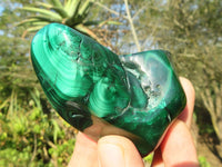 Polished Flower Banded Malachite Free Forms  x 6 From Congo - Toprock Gemstones and Minerals 