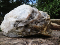 Natural Extra Large Bladed Barite Specimen x 1 From Tenke Fungurume, Congo - TopRock