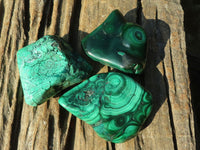 Polished Flower Banded Malachite Free Forms  x 6 From Congo - Toprock Gemstones and Minerals 